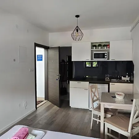 Apartment Vesna Novi Vinodolski